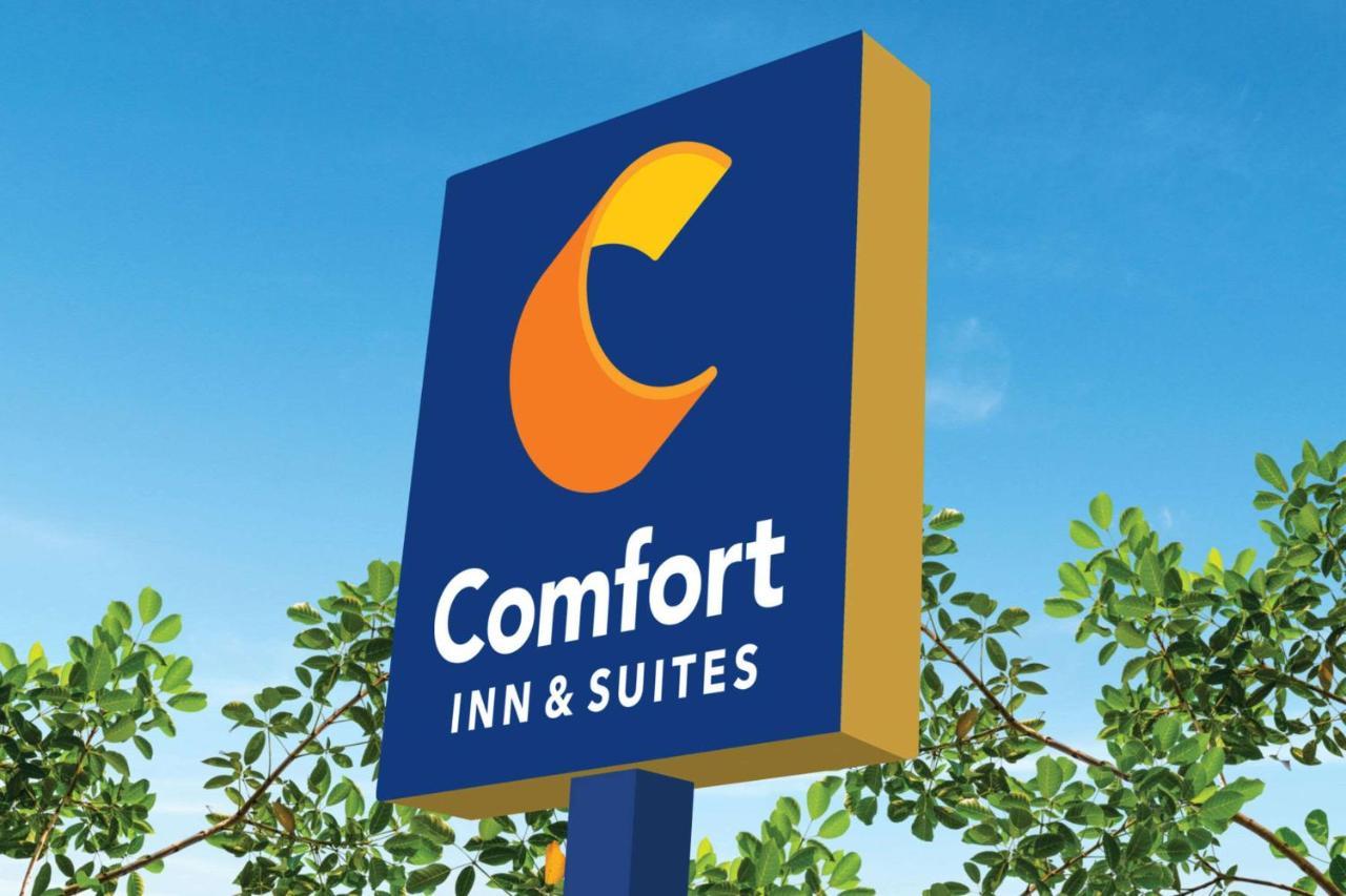 Comfort Inn & Suites Munising-Lakefront المظهر الخارجي الصورة